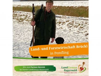 Land- und Forstwirtschaft Brückl in Pemfling